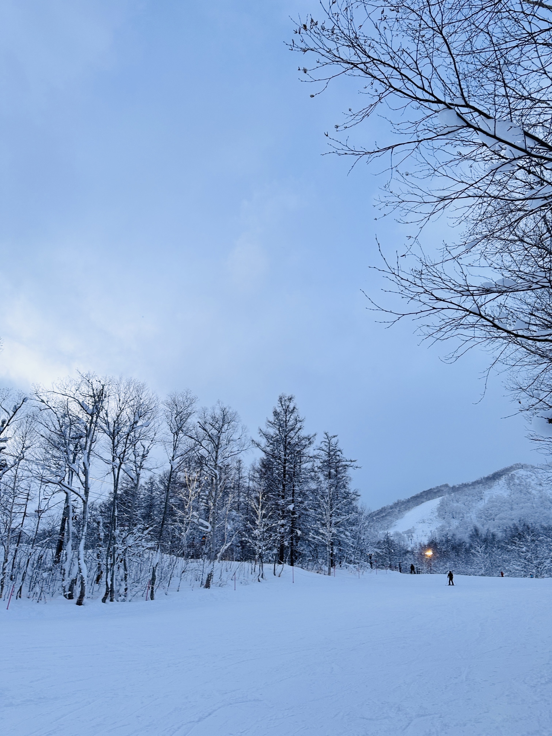 房间温馨舒适整洁，早餐丰盛可口，酒店自有雪道，去另外几个雪场交通车也很方便，温泉就在酒店里面，还有便