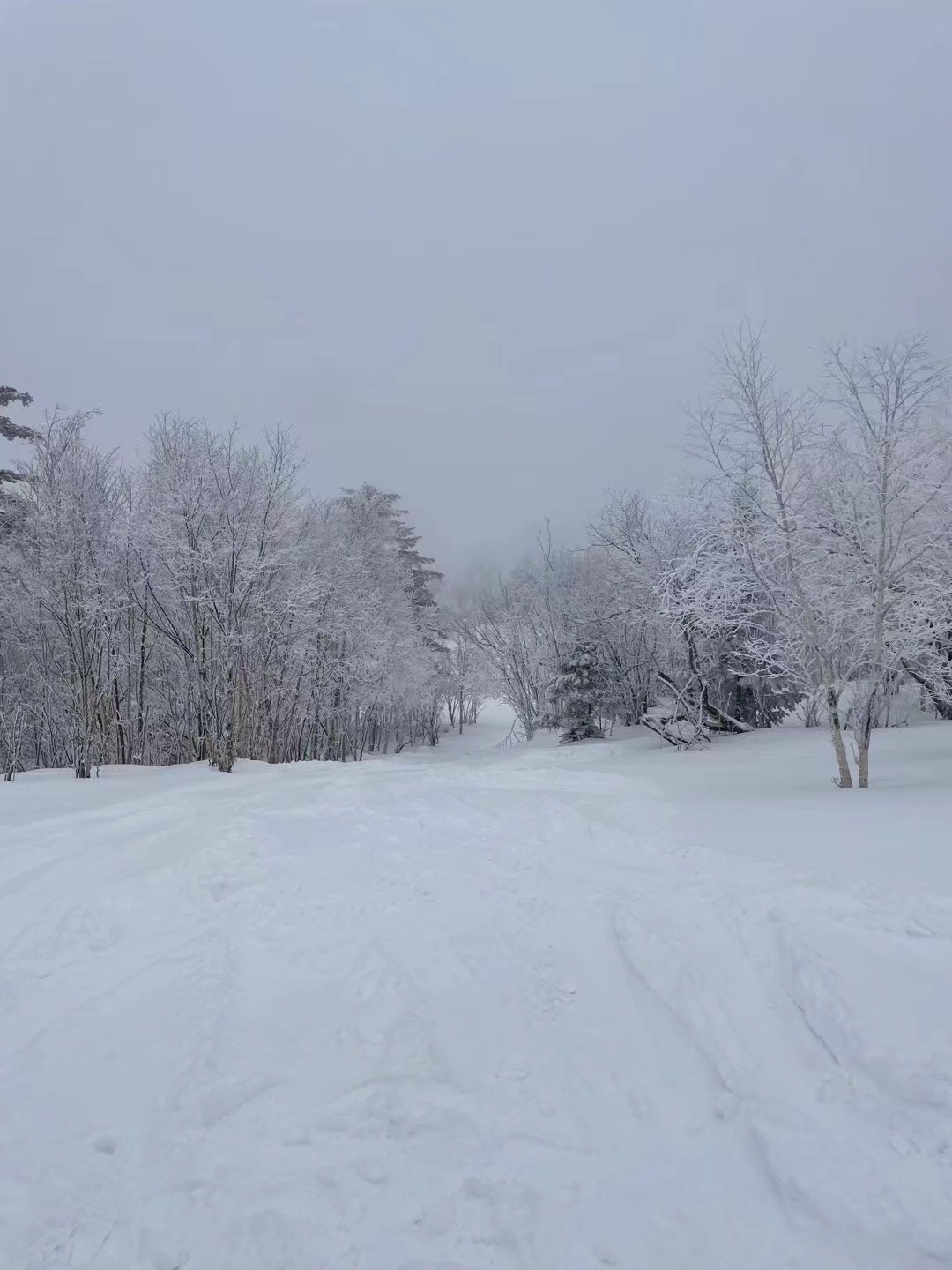 不错，离雪道很近。滑进画出很方便。 美中不足是往返雪具大厅的摆渡车太少了，吃饭不太方便，安排也不是很