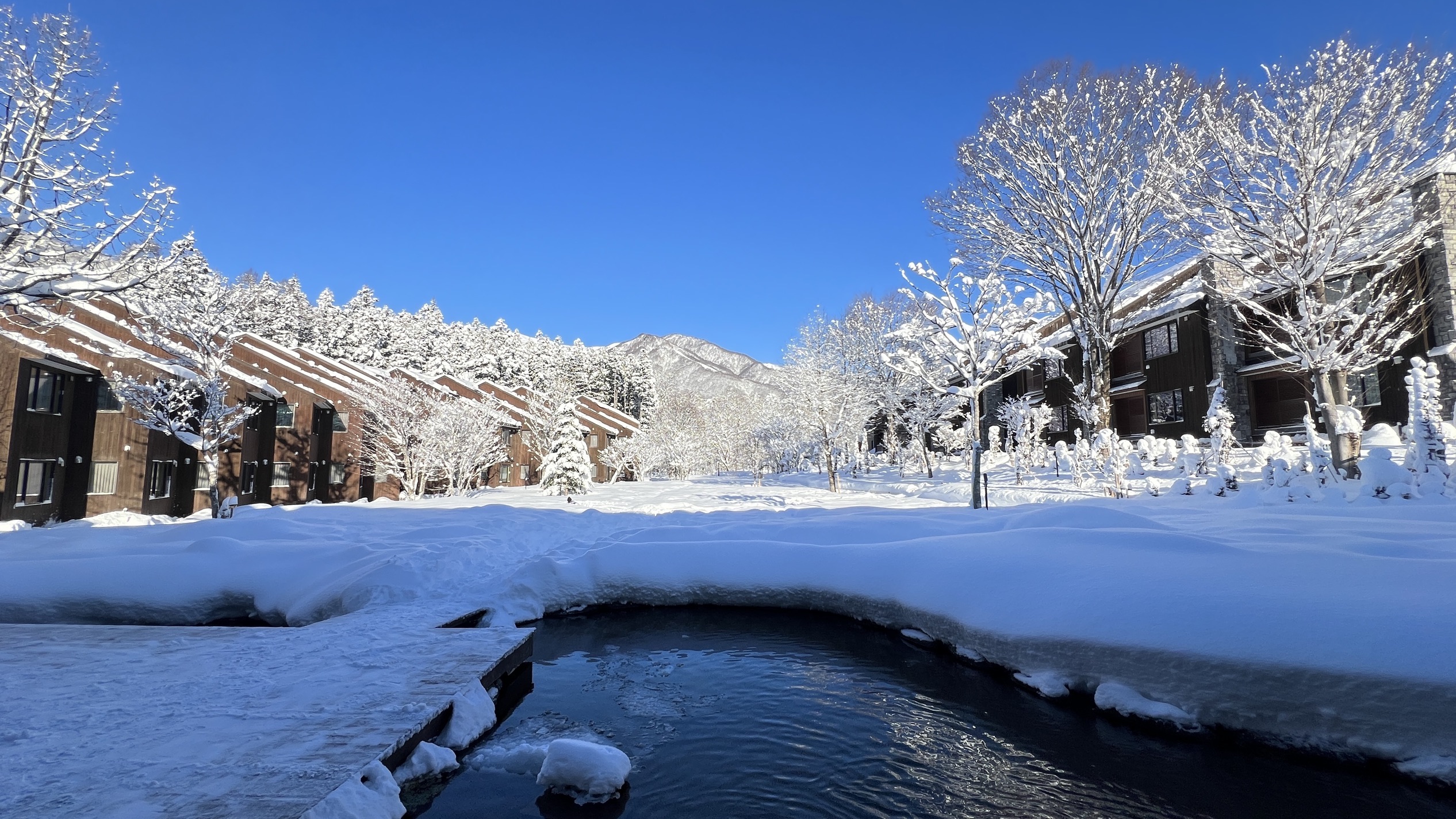 很棒的酒店 房间在日本算很大了 白天滑雪 晚上温泉