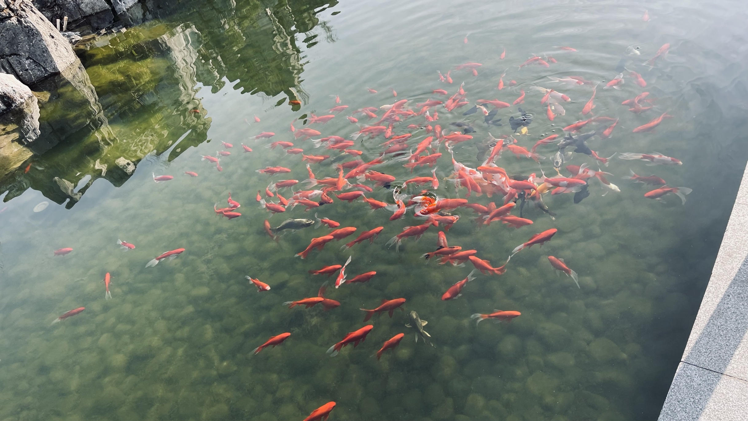 环境很大，地方很舒服，而且很适合到处走走。大厅有咖啡，而且也有次吃的自助餐也不错，而且服务态度很好。