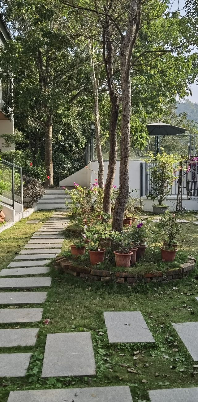 饶平酒店推荐|隐山居民宿体验