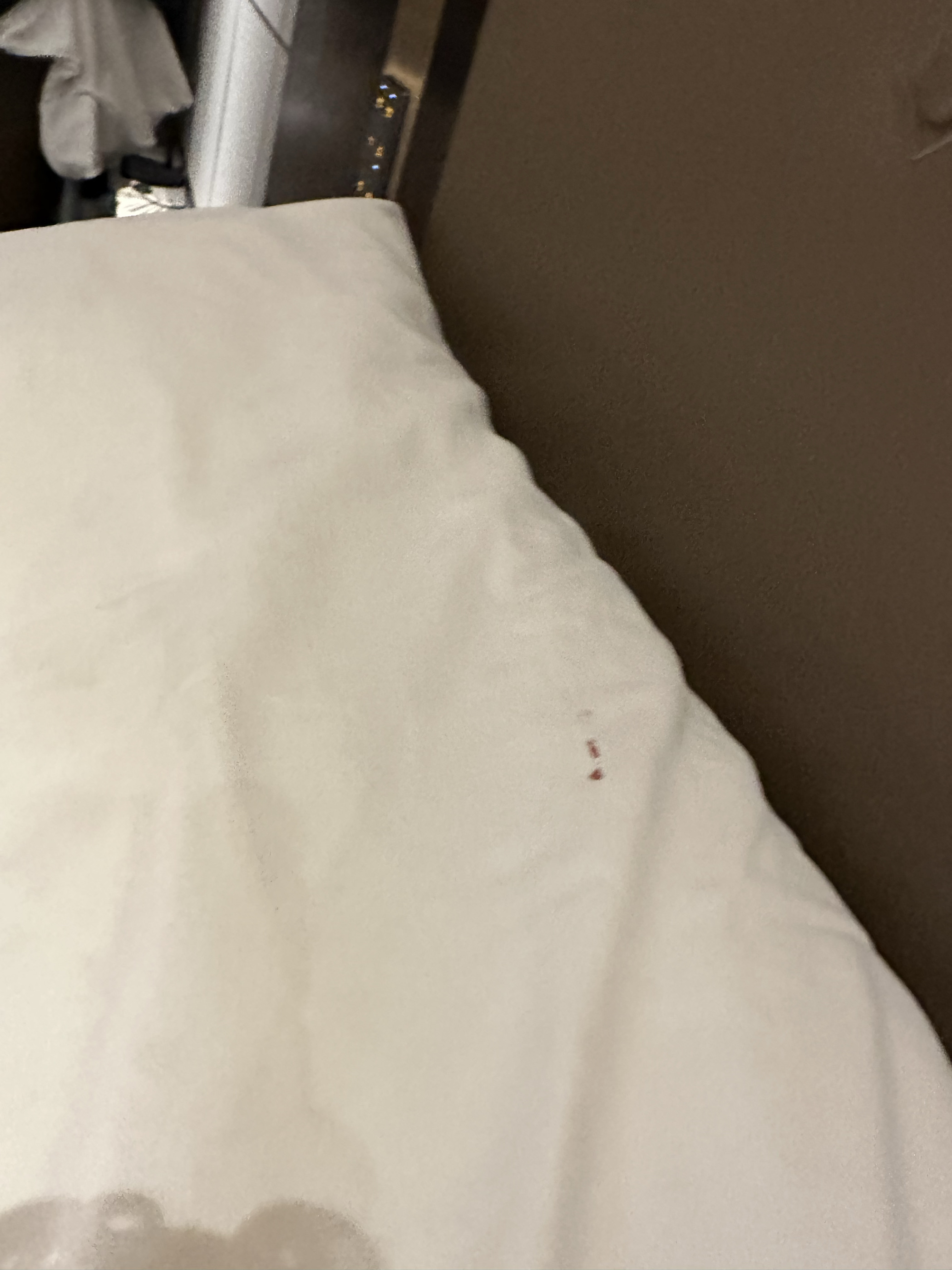 上次住床单上发现血渍忍了，自己带床单来了，这次住枕头发现了血渍，真的恶心死了，感觉哪哪都不干净，睡觉