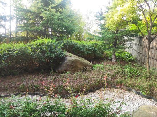 大连汤景泽日式温泉酒店