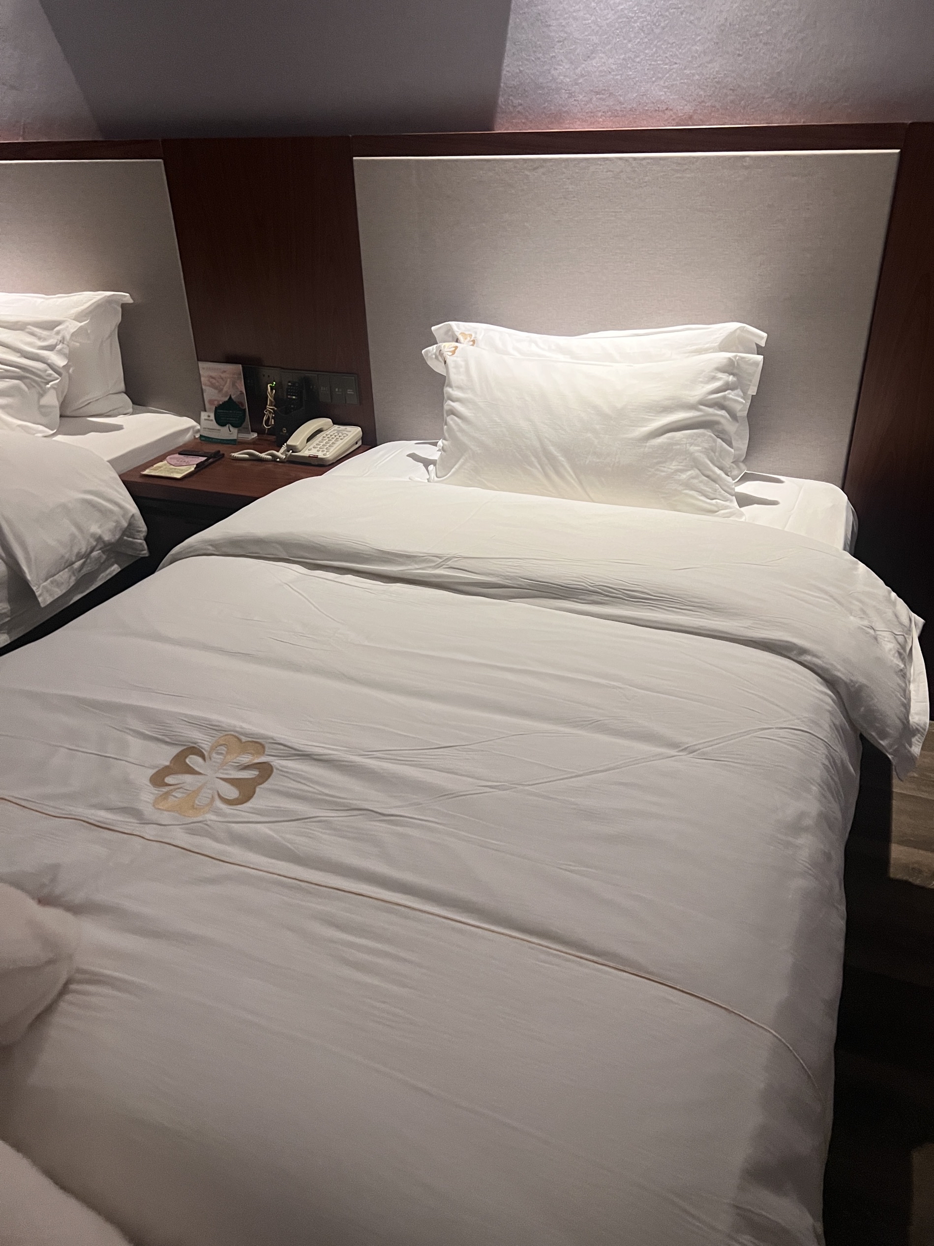 酒店的床🛏️ 尊的很舒服😌高床软枕、一躺上就进入深度睡眠💤真的太满意了、虽然看出来酒店有一定的年份了