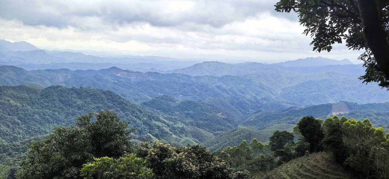 Misty layered mountain ridges around Daluo Mountain, Qingyuan