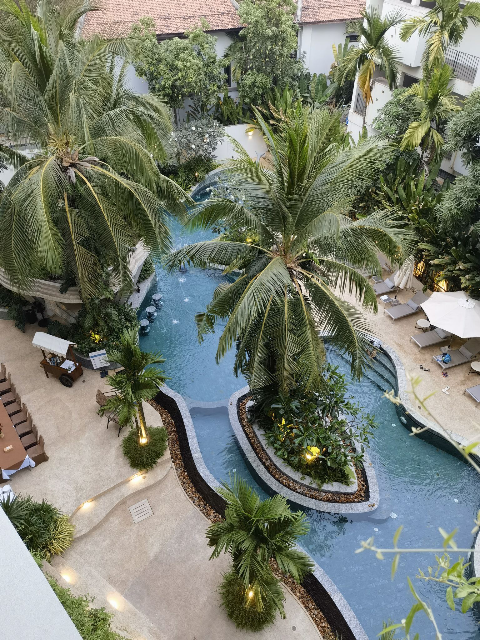 全五星的酒店！ 各方面的体验都特别棒！特别棒！ 酒店的环境特别舒适，绿植，花卉和泳池搭配的很漂亮。泳