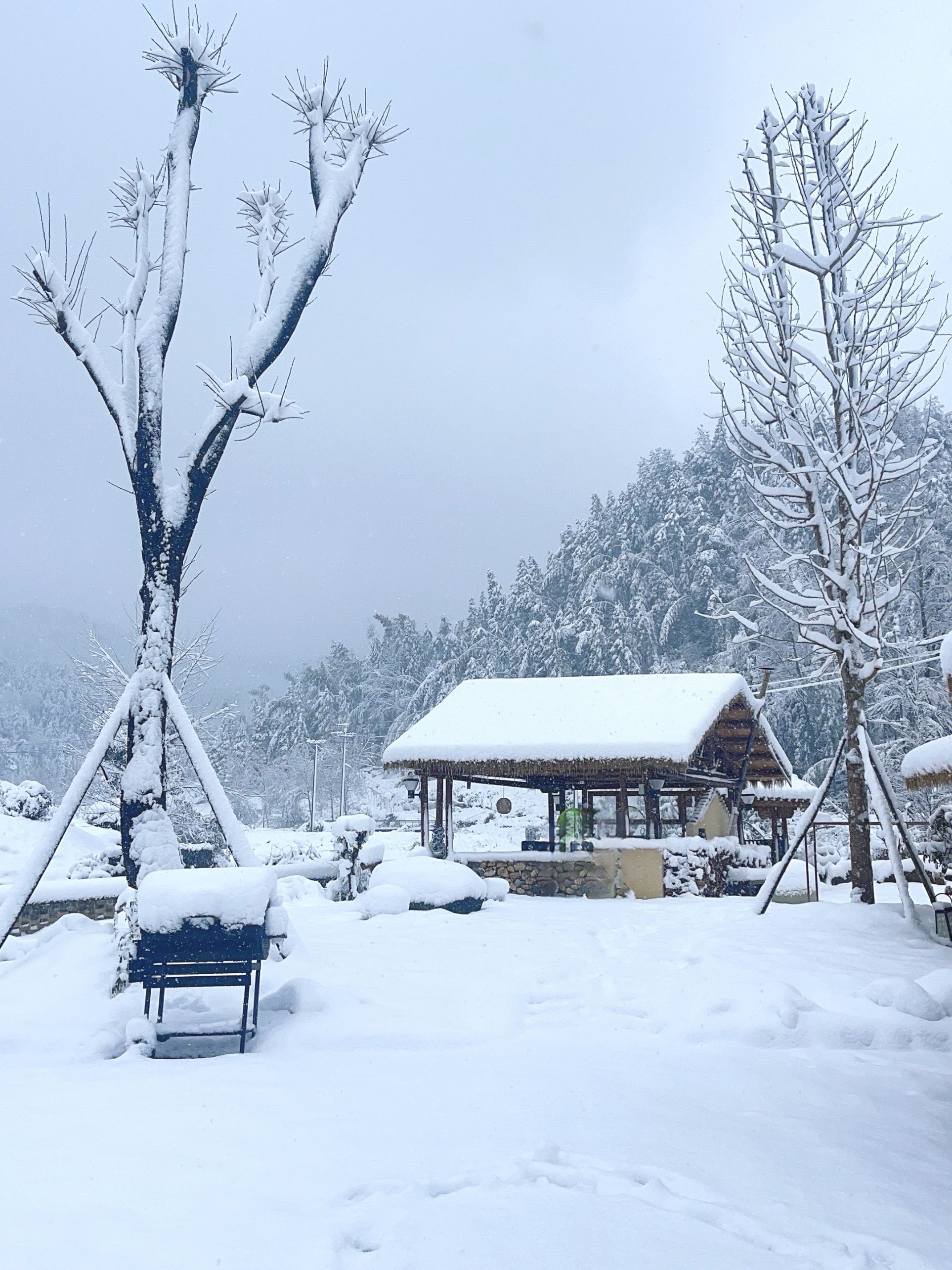 来民宿刚好遇到了难得一见的大雪，感觉来到了北方的哈尔滨～听民宿老板说每年都有一场大雪～太幸运啦刚好遇