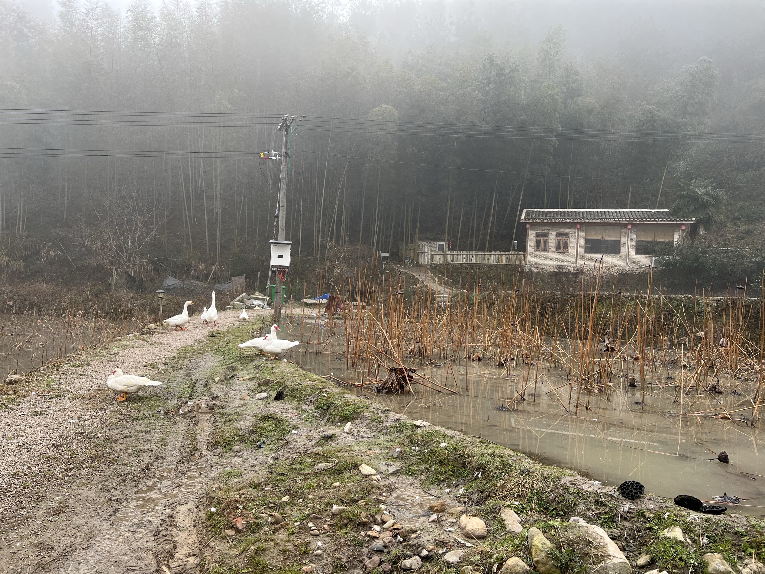 单床的房间设施较合理，大冷天主人贴心地提前开启电热毯。来此住讲究一个大环境。对于现代化设施和性价比不