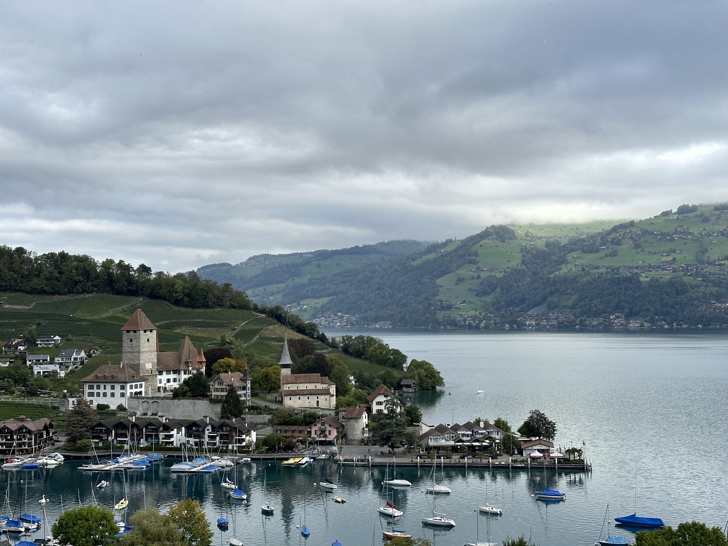 非常哇塞的酒店，可以订湖景最便宜的房型，酒店餐厅在瑞士算还可以的，房间现代化，酒店也有望湖泡池和小无