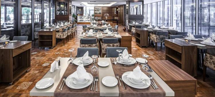 德德曼埃斯基谢希尔公园酒店(Park Dedeman Eskişehir)图片