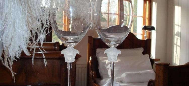 威拉维多利亚旅馆(Willa Viktoria)图片