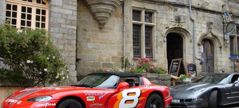 狮子座酒店(La Tour du Lion)图片