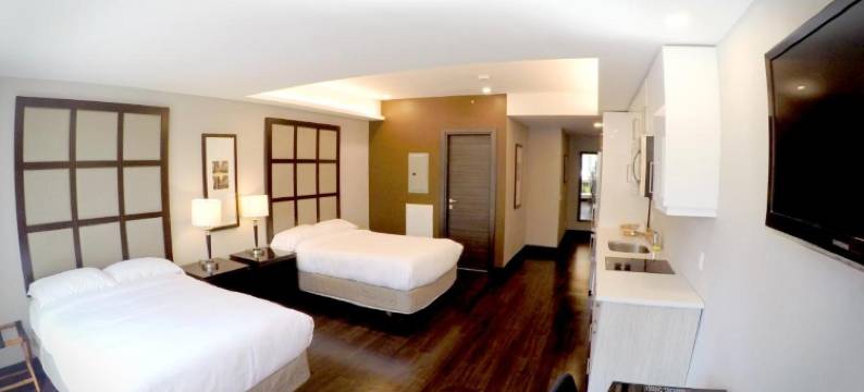 蒙特利尔M青年旅馆(M Montreal Hostel)图片