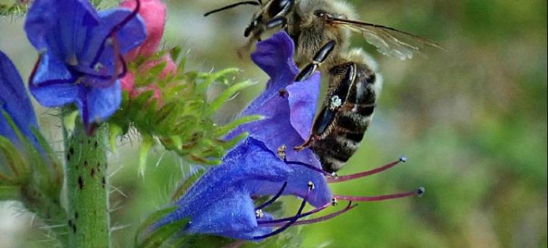 Ferienwohnungen Raczkowski图片