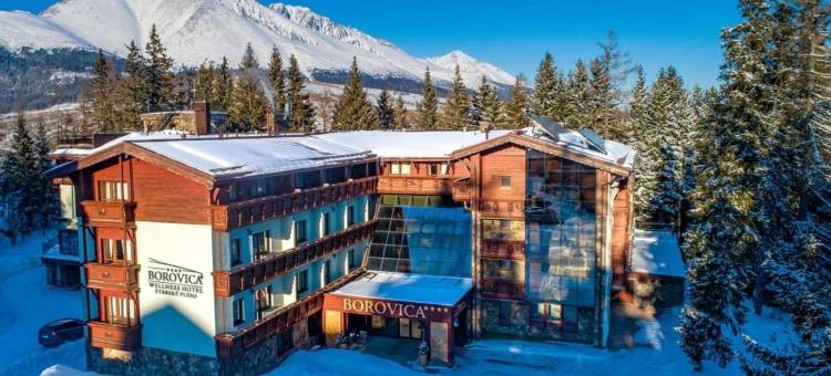 波罗维卡养生酒店(Aplend Wellness Hotel Borovica)图片