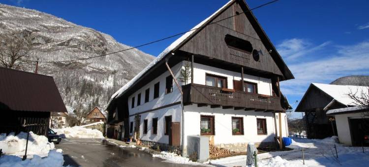 佩科维博西尼客房民宿(Rooms Pekovec Bohinj)图片