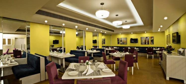 德里萨诺瓦波迪克纳莱纳酒店(Sarovar Portico Naraina Delhi)图片