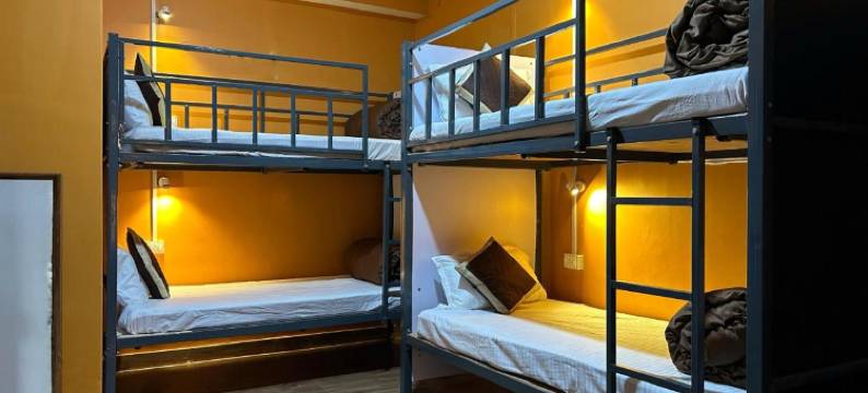 House of Nomad图片