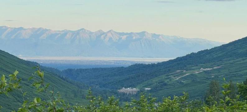 先锋汽车旅馆(The Pioneer Motel)图片