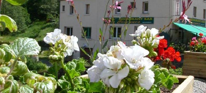 瑟文内斯酒店(Logis Hôtel Restaurant les Cévennes)图片