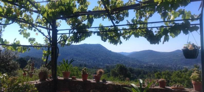 阿布斯花园(Les Jardins d'Arbousse)图片