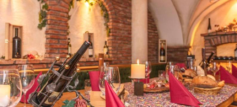 温格阿朋霍夫酒店(Apart Hotel Alpenhof Werfenweng)图片