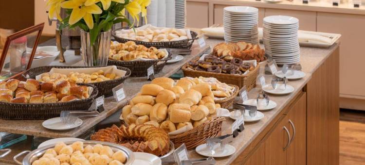 圣若泽杜斯坎波斯蒙雷亚莱普拉斯酒店(Monreale Plus São José Dos Campos)图片