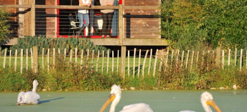 CERZA野生动物园小屋(Cerza Safari Lodge)图片