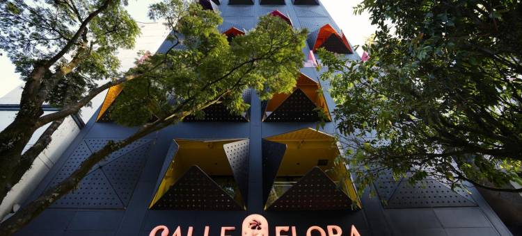 卡列弗洛拉酒店由Jalo管理(Calle Flora Hotel by Jalo)图片
