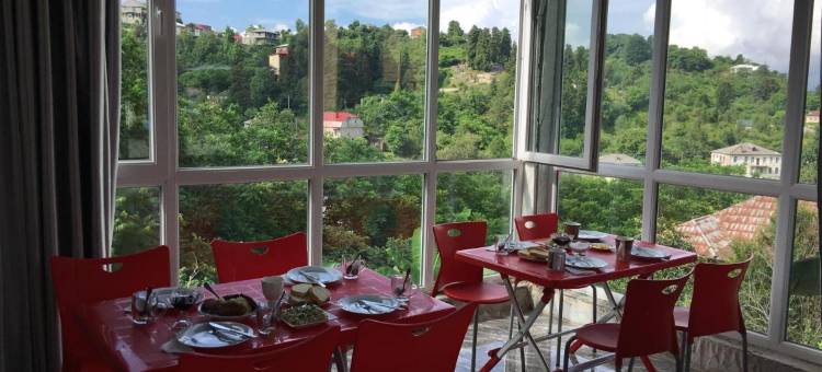 青鹤旅馆(Green Cape Guest House)图片