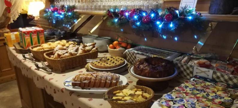 埃德维斯酒店(Hotel Edelweiss)图片