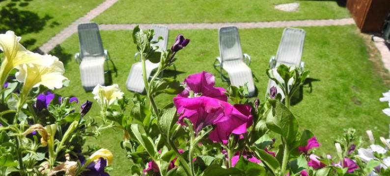 高山玫瑰旅馆(Pension Alpenrose)图片