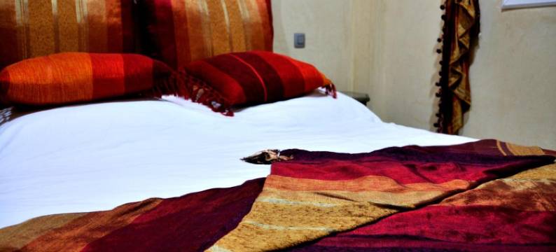 沙德摩洛哥传统庭院公寓酒店(Luxury Riad Saad Fes- Apart)图片