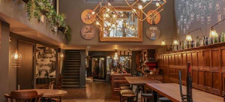 土耳其人的头部(The Turks Head)图片