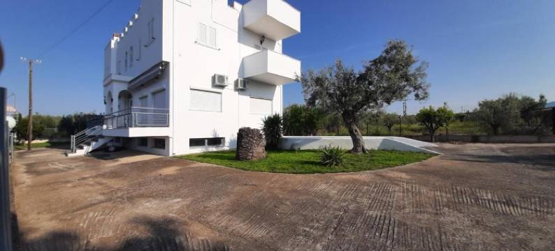 卡斯特洛公寓(Castello Apartments)图片