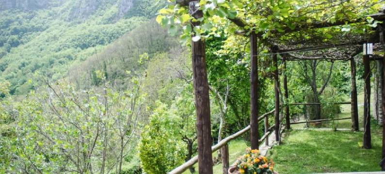 Il Frutteto Natura a Relax图片