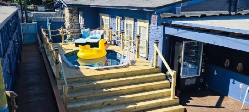 蓝色小哈瓦那(Blue Little Havana)图片