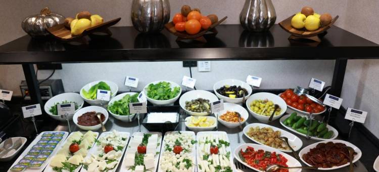阿内蒙 迪亚巴克尔套房酒店(Anemon Diyarbakır Suit Hotel)图片