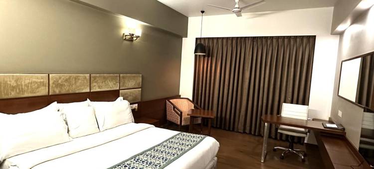 俞拉吉豪华酒店(Hotel Yuvraj DX)图片