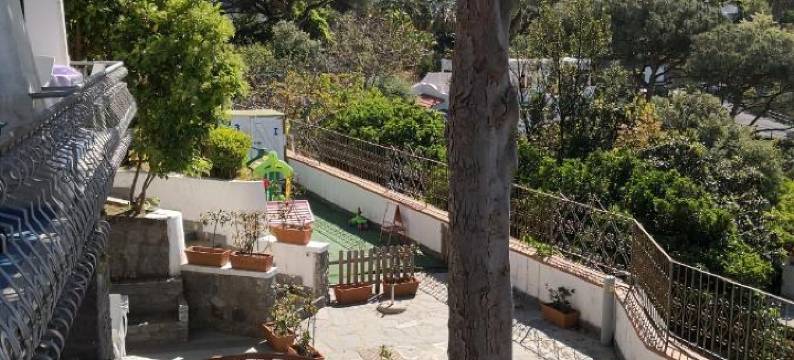 麦格酒店(Hotel Myage)图片