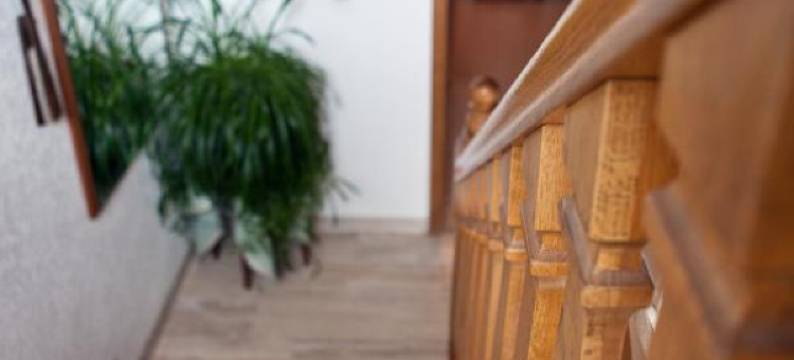 霍恩劳尔宾馆(Gasthof Zum Hohen Lohr)图片