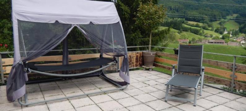 酒店 - Landgasthof Zum Pflug(Hotel Landgasthof Zum Pflug)图片