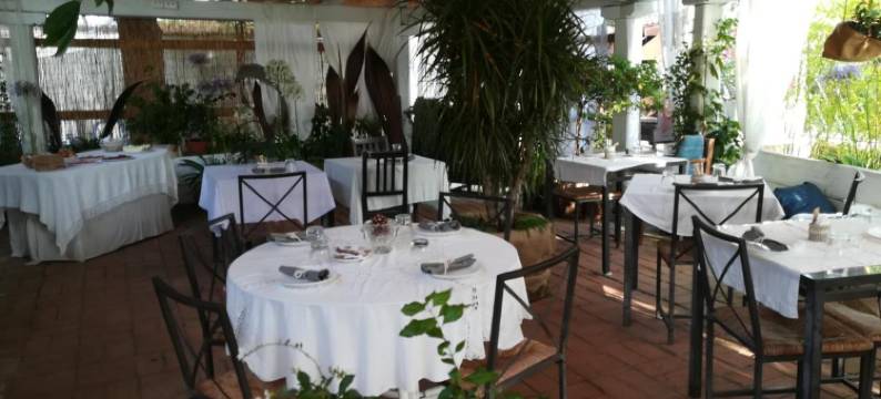 黄金海滨酒店(Baia d'Oro)图片