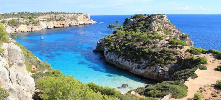 BLUESEA 埃斯博莱罗(Bluesea Es Bolero)图片