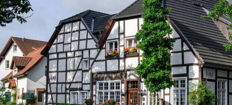 阿尔特韦勒恩酒店(Hotel Alt Vellern)图片