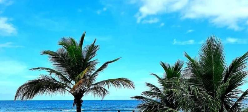 Rota do Sol Praia Hotel图片