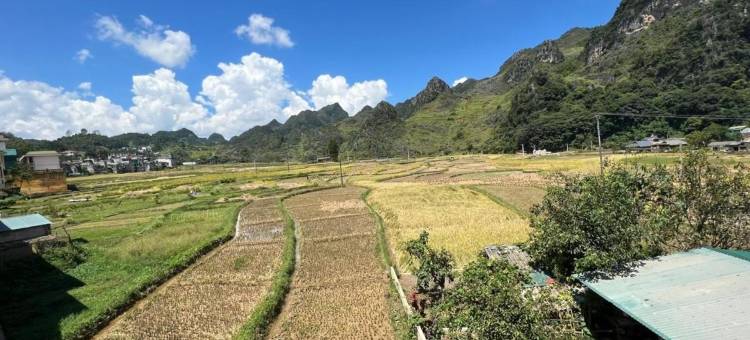 Thai Tam Motel图片