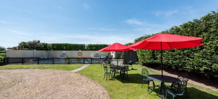 鸟类农场(Birds Farm)图片