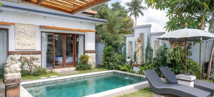 乌布达拉斯别墅(Villa d'Alas Ubud)图片
