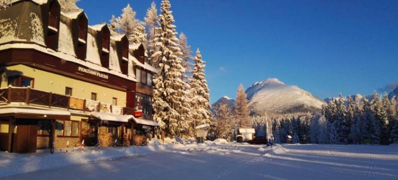 普莱索旅馆(Penzión Pleso)图片